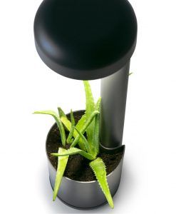 Baliza 50 cm GROW LED gris oscura detalle