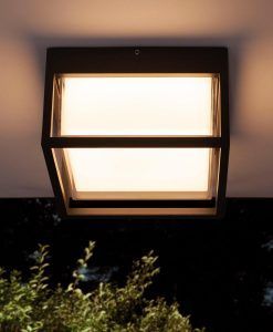 Plafón o aplique gris oscuro 9W CHAMONIX LED ambiente