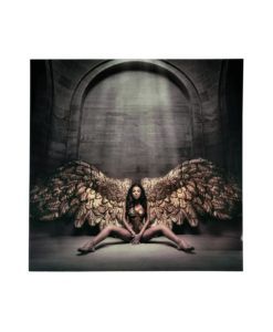 Fotografía impresa ANGEL CAIDO 100 cm x 100 cm
