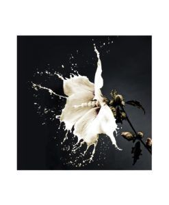 Fotografía impresa SPLASH 100 cm x 100 cm
