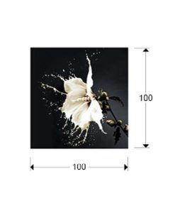 Fotografía impresa SPLASH 100 cm x 100 cm medidas