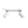 Plafón 2 luces blanco orientable RING
