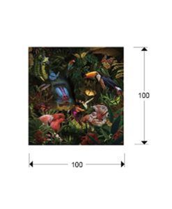 Fotografía impresa SELVATICA 100 cm x 100 cm medidas